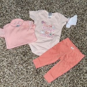 Adorable 3-6 month girl bundle